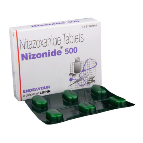 니조나이드 500 (니타조사나이드 500mg)