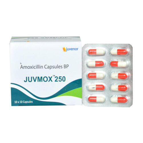 주브목스 250 (아목시실린 250mg)