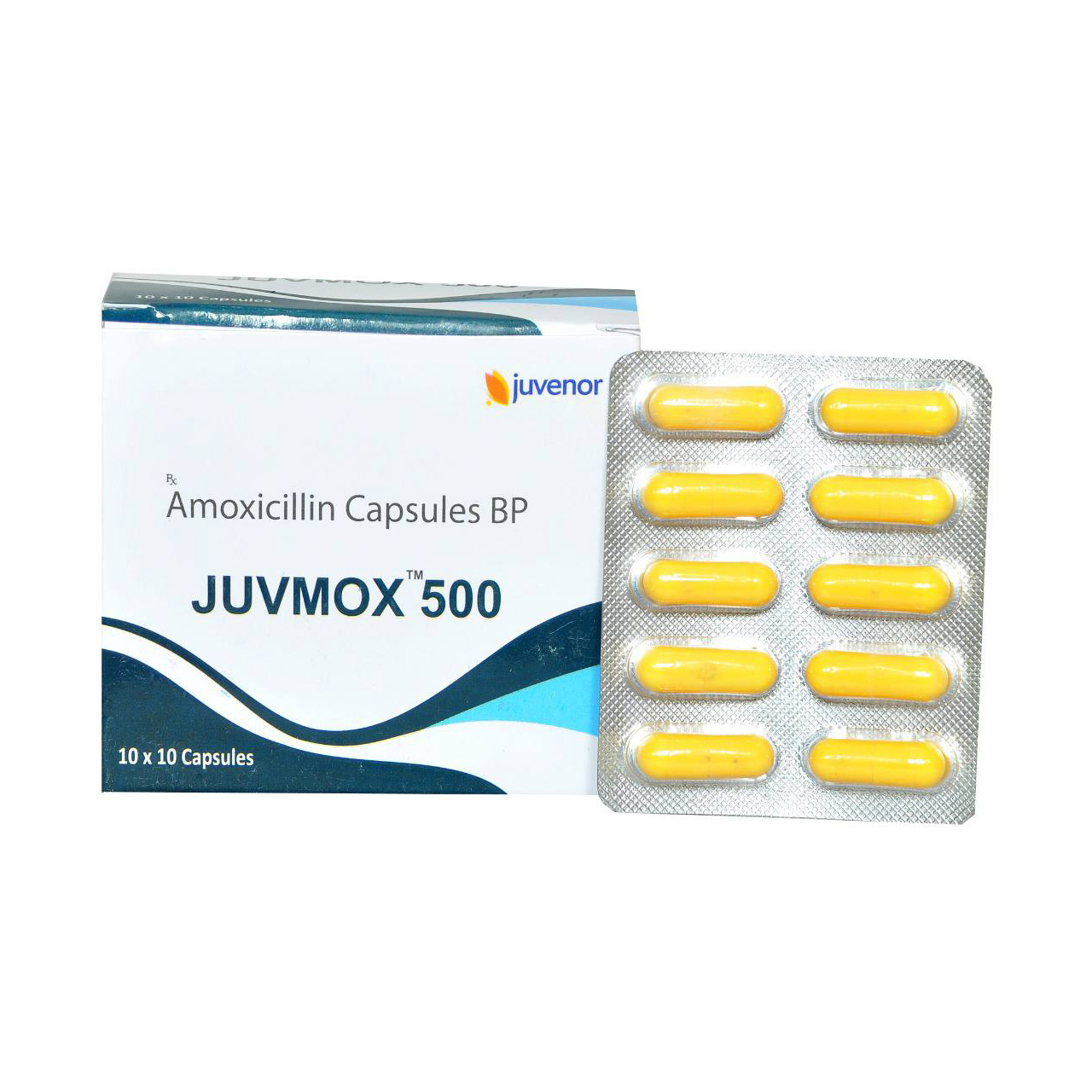 주브목스 500 (아목시실린 500mg)