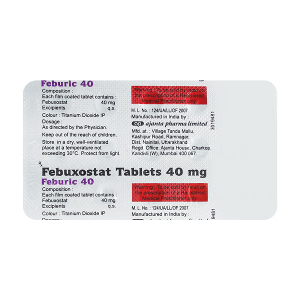 페부릭 40 (페북소스타트 40mg) - Image 2